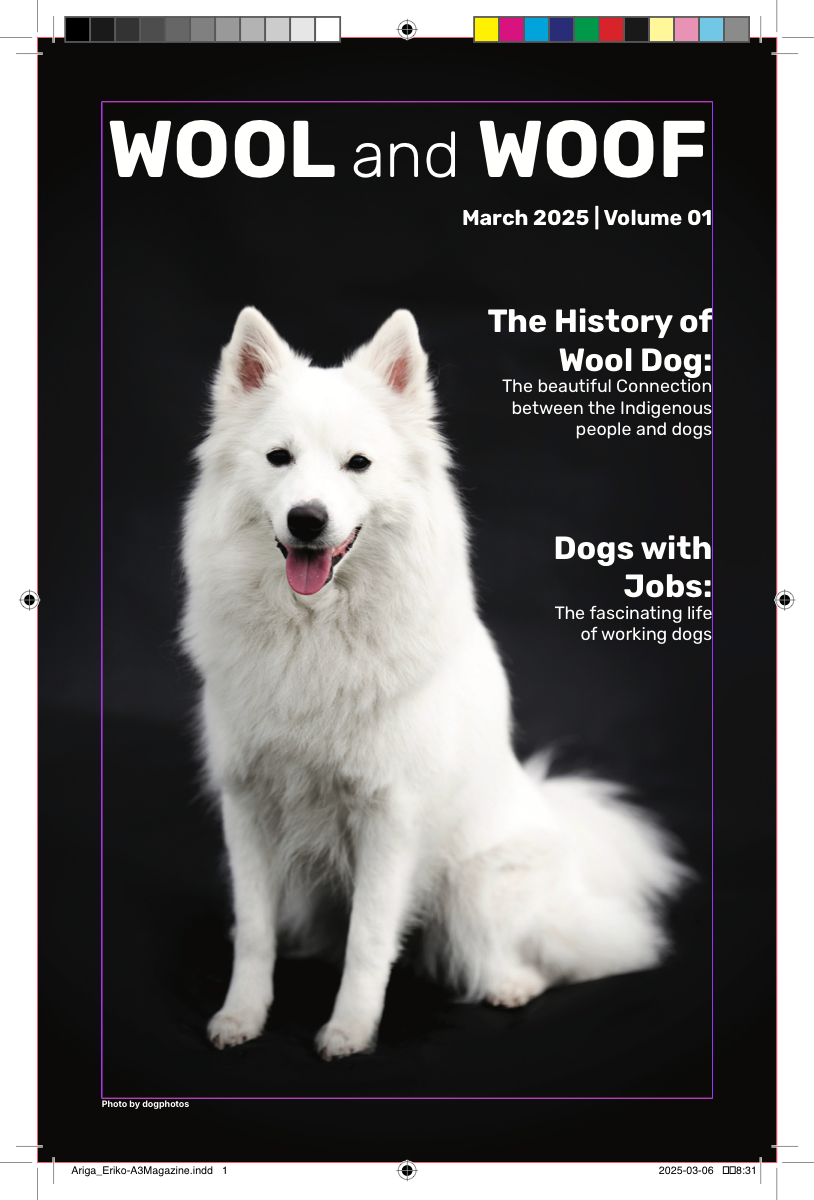 WOOL and WOOF magazine cover
