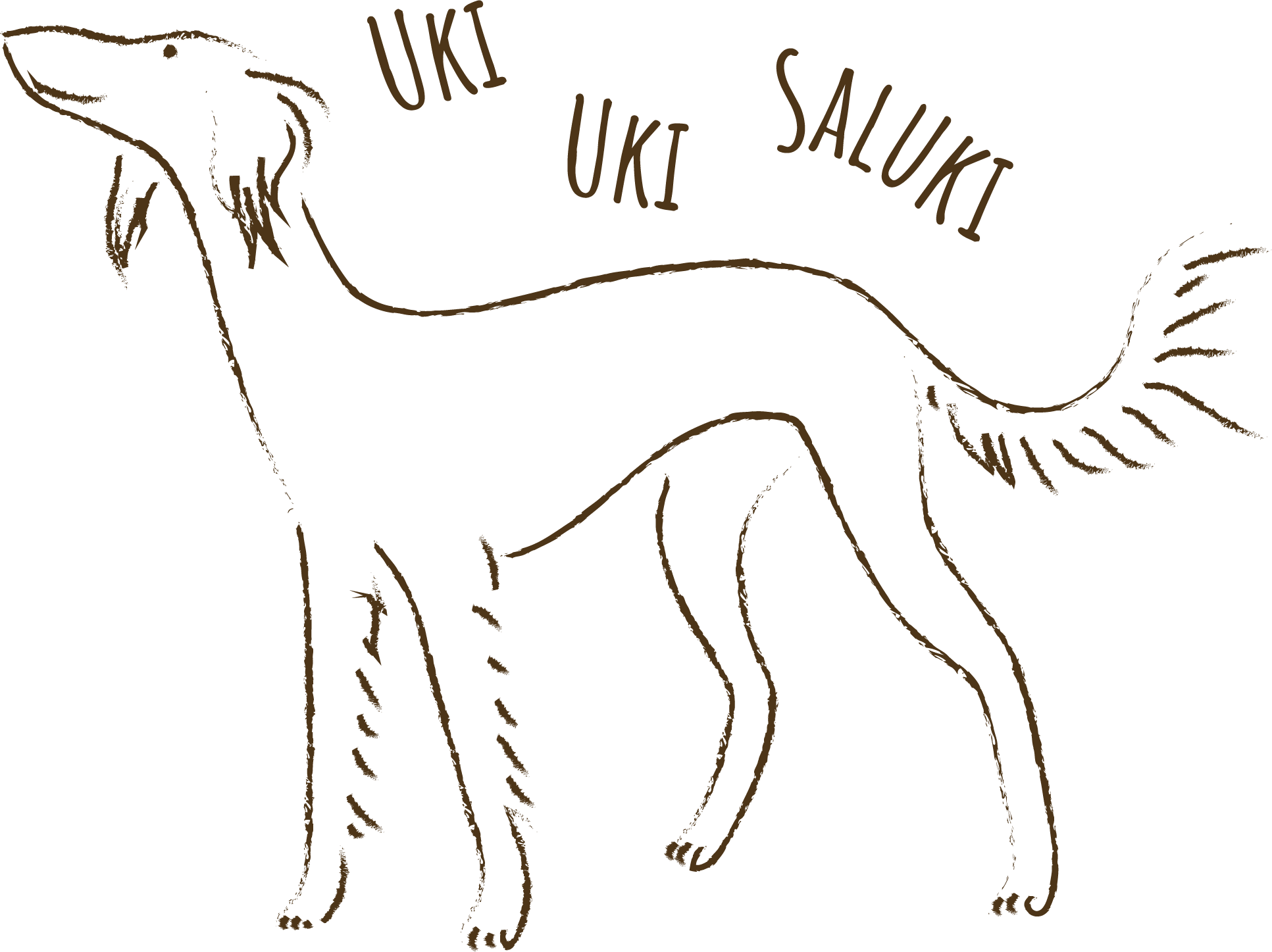 Uki Uki Saluki